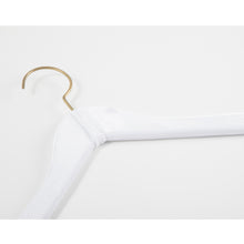 Load image into Gallery viewer, Hangers / Velvet &amp; Gold Top Hanger
