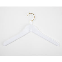 Load image into Gallery viewer, Hangers / Velvet &amp; Gold Top Hanger
